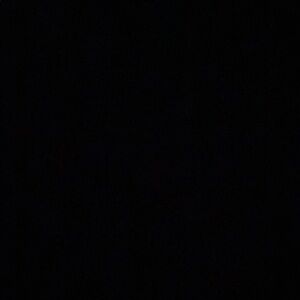 Zara Black Pointed Slingback Heels